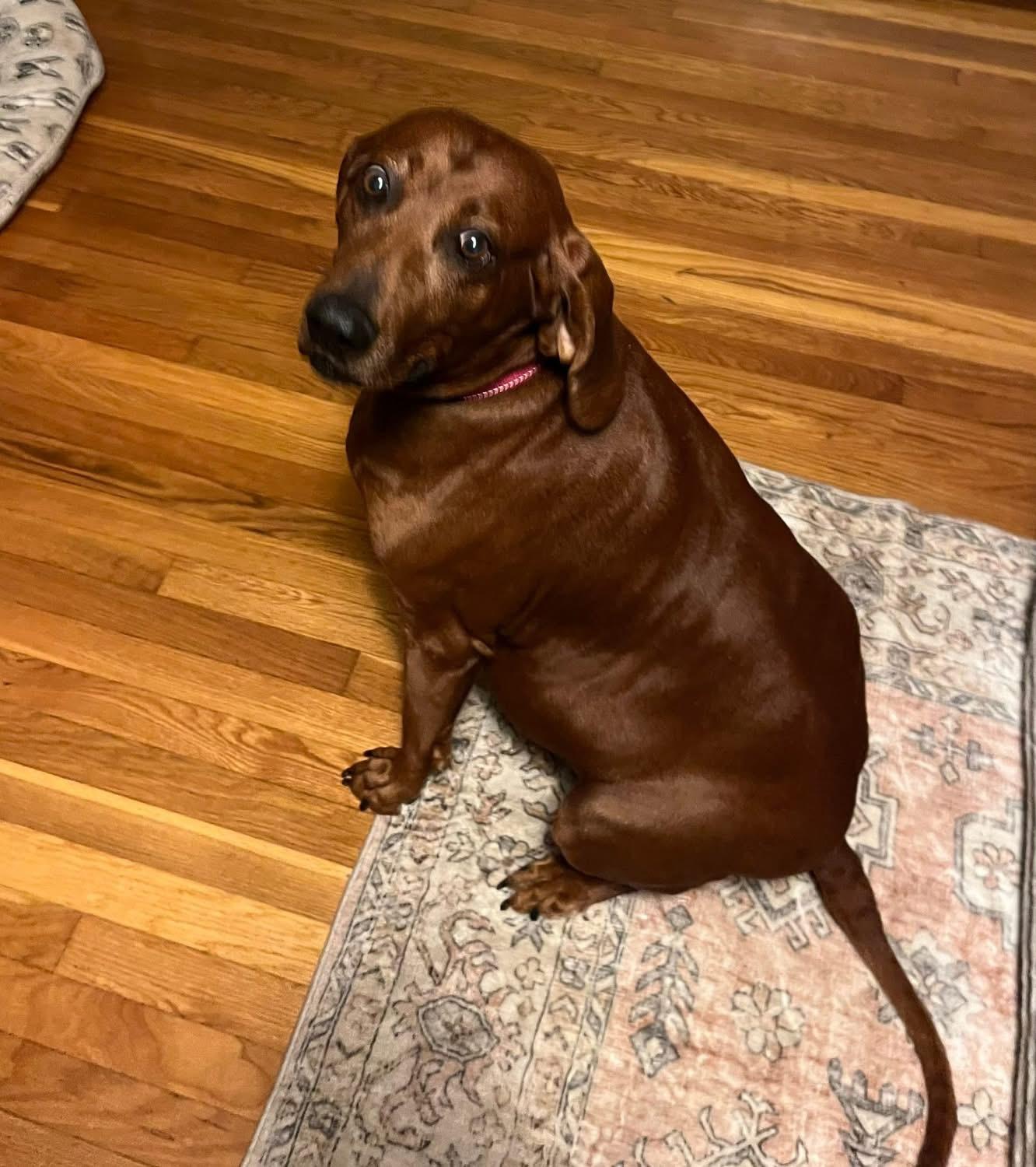 Penny Ruby Rose — thumbnail 2