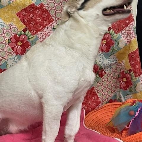 Haku photo 2