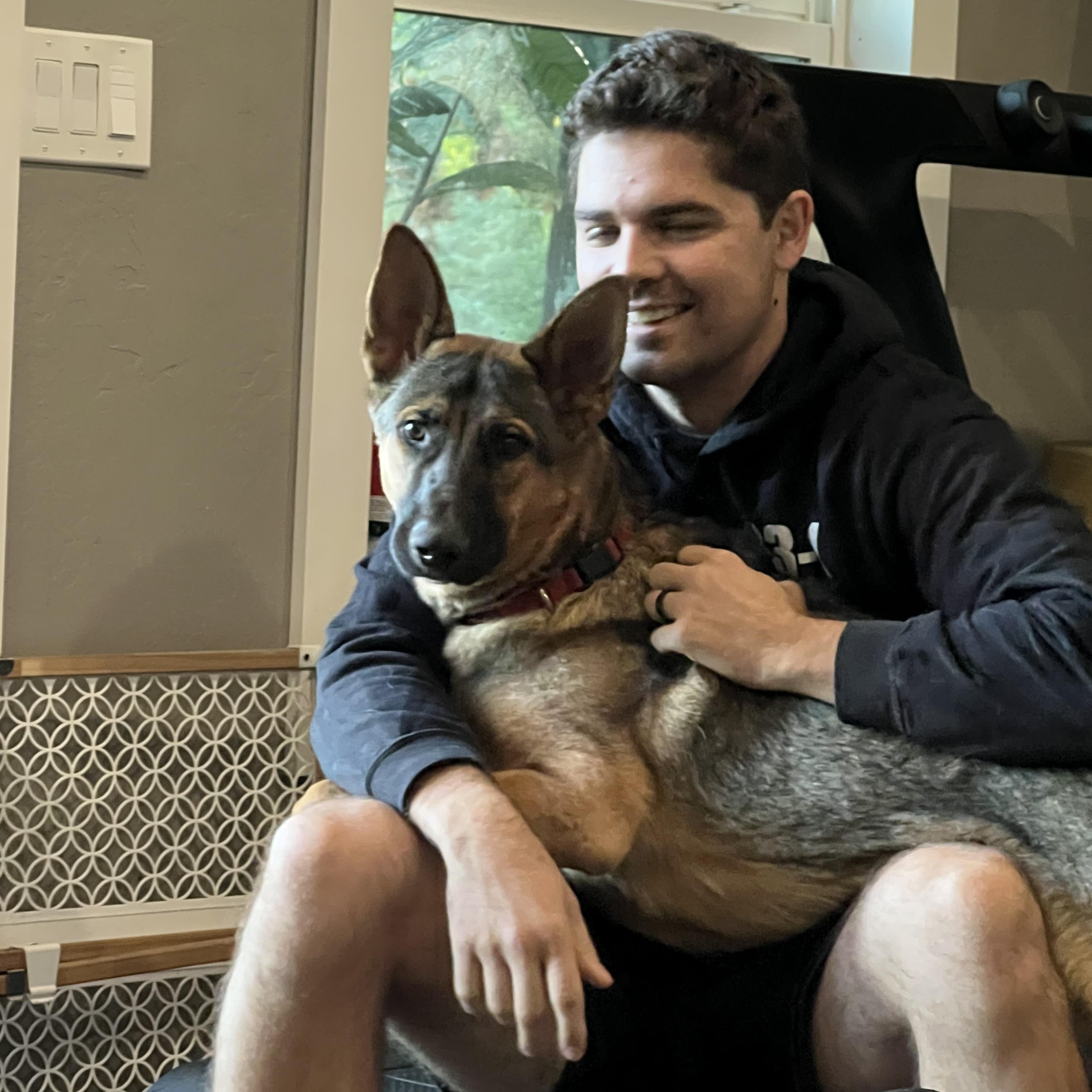 Ace, a Adopted German Shepherd Dog in Santa Rosa , CA image 1/6