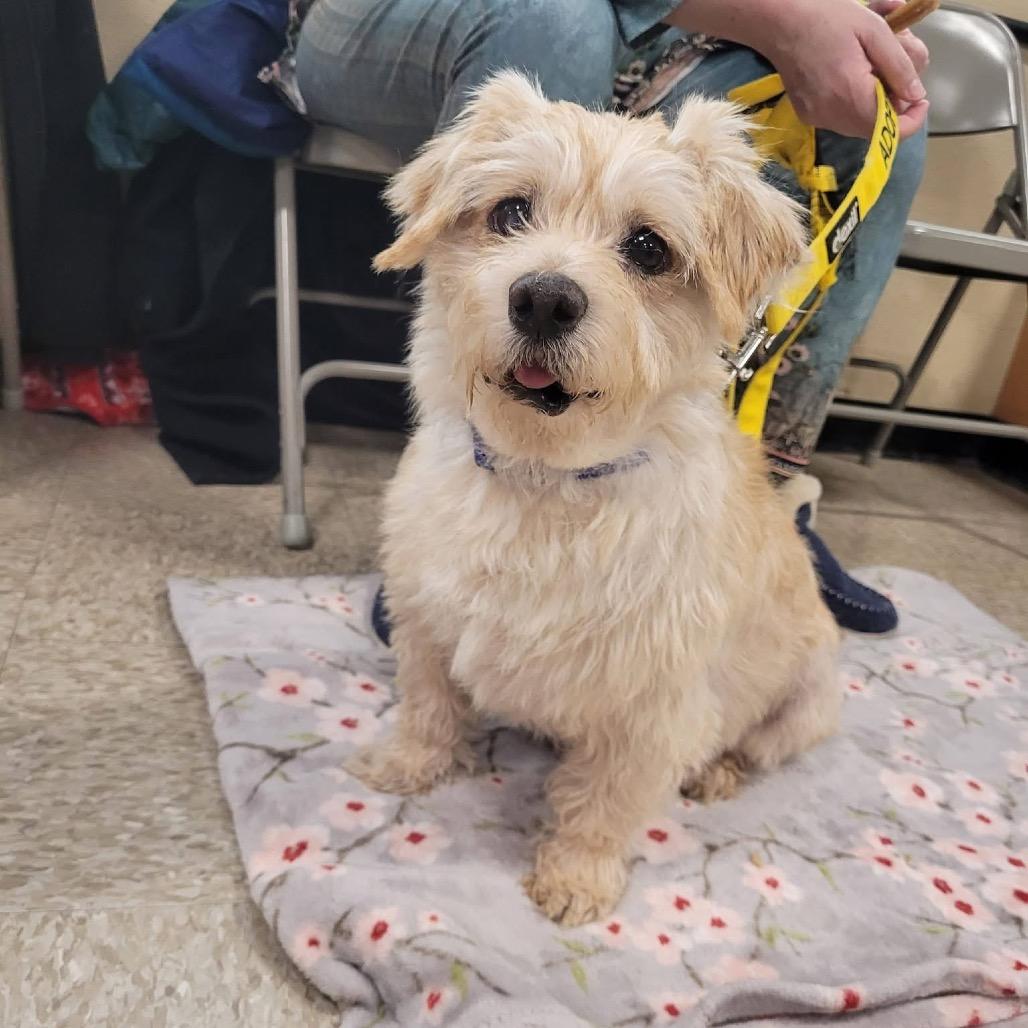 Chuck — thumbnail 2