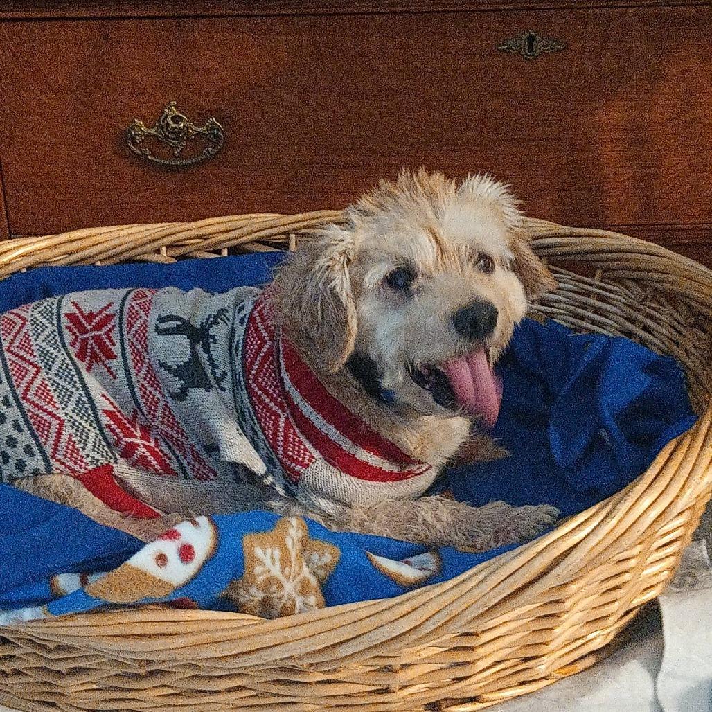 Chuck — thumbnail 5