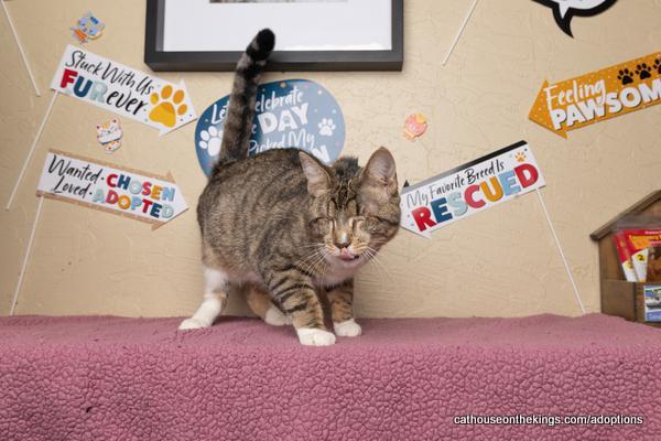 Cali — thumbnail 4