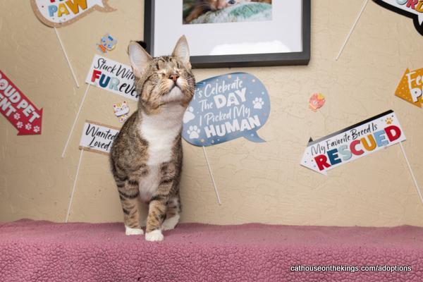 Cali — thumbnail 5