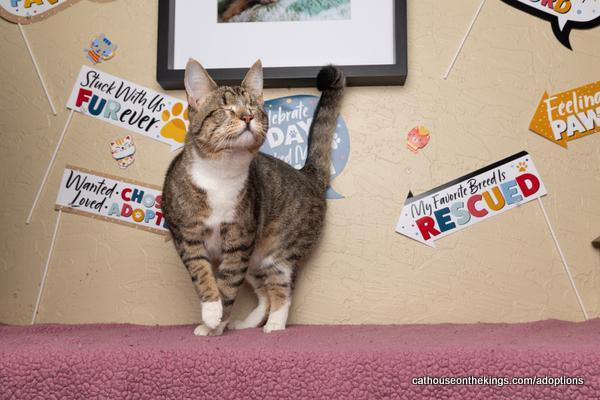 Cali — thumbnail 6