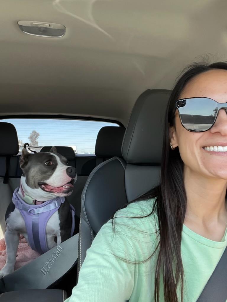 Enlarge Kira, a Adoptable Pit Bull Terrier in San Diego , CA image 5/6