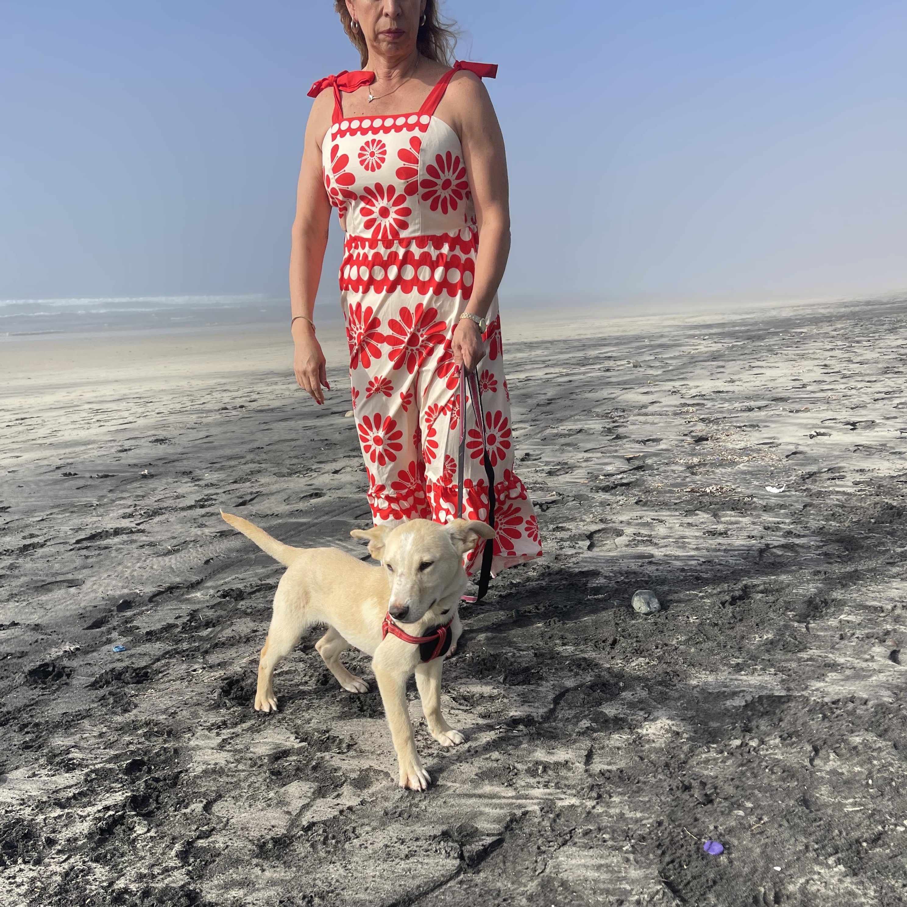 Nailo  Months thumbnail 3