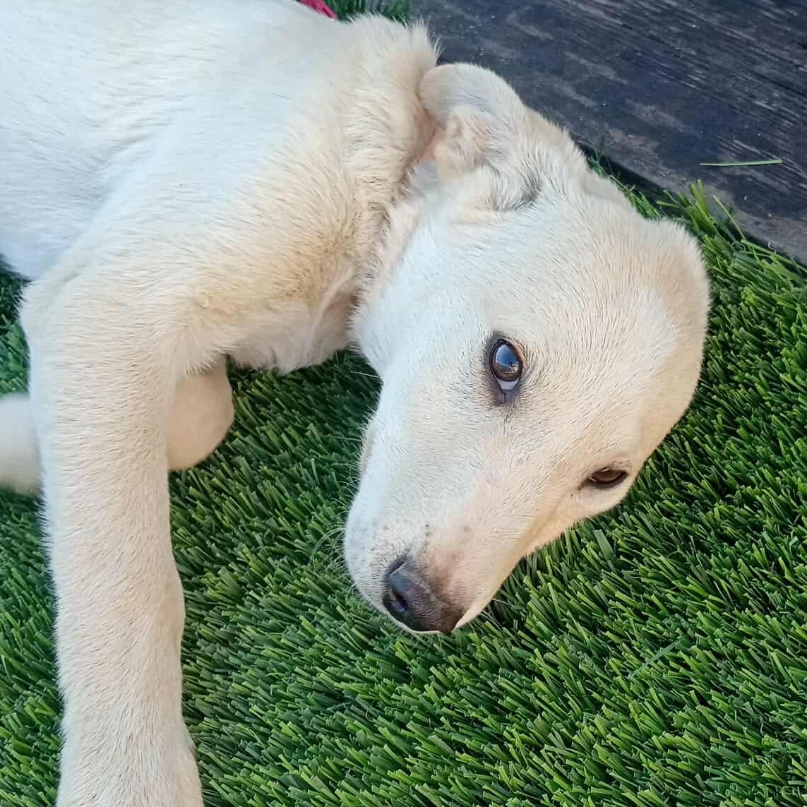 Nailo  Months thumbnail 5