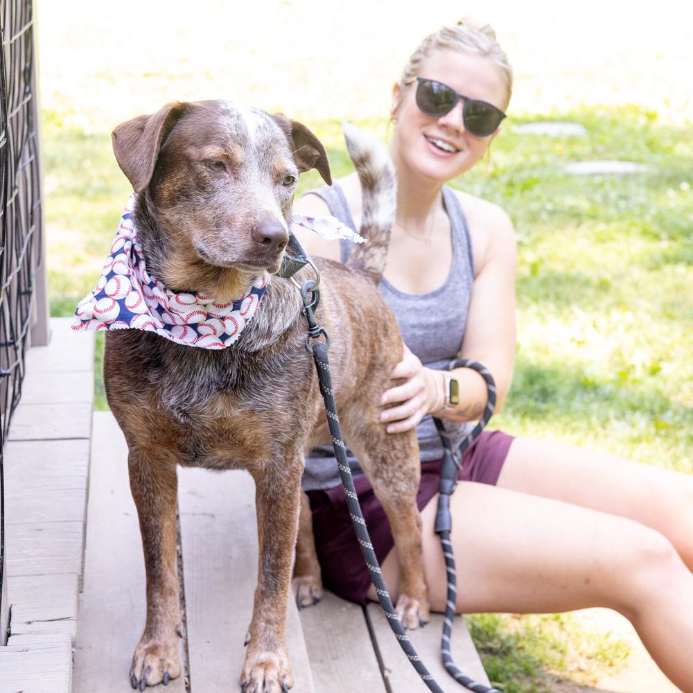 Major ( Male), a Adoptable mixed breed in West Grove, PA image 4/6