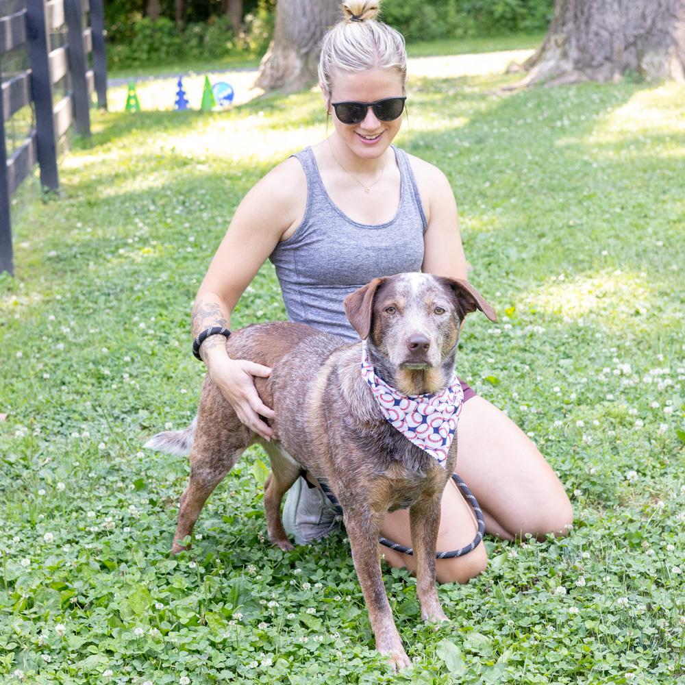 Major ( Male), a Adoptable mixed breed in West Grove, PA image 3/6