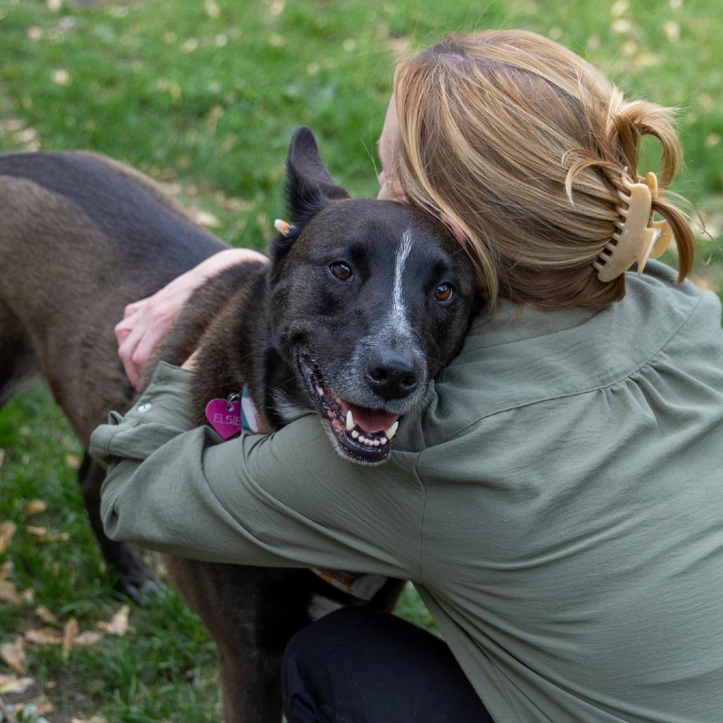 Elsie, a Adoptable mixed breed in Chaska, MN image 6/6