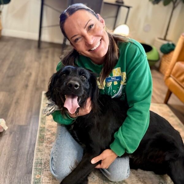 Jetty Boy the Couch Snuggler and Tiny Dog Lover — thumbnail 5