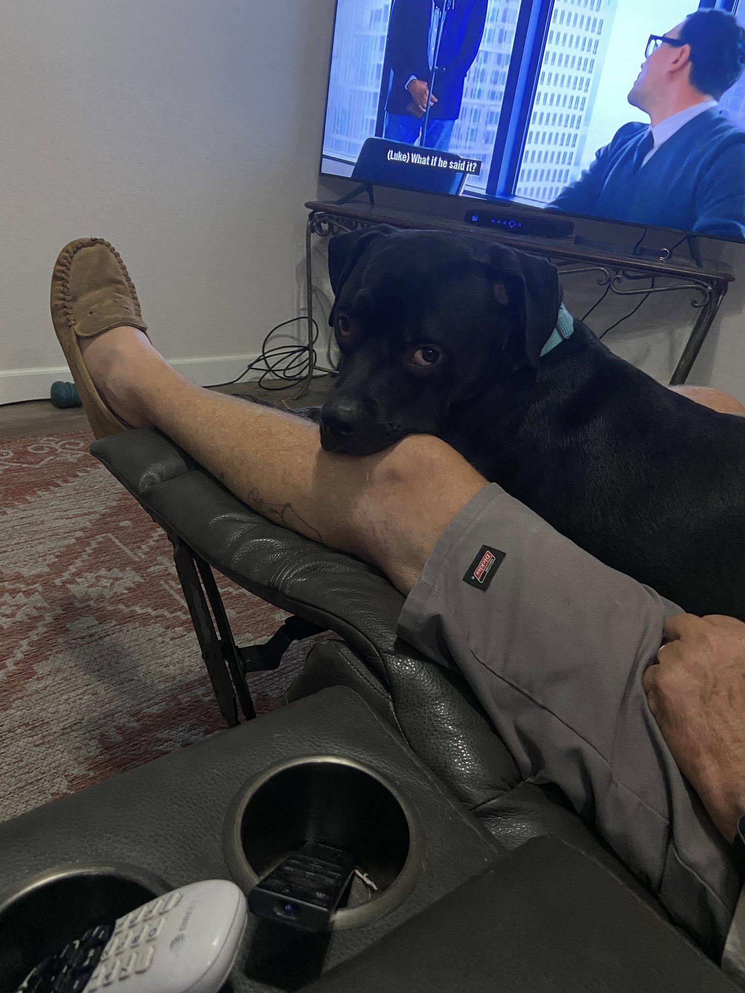 Jackson, a Adoptable Boxer in Gilbert, AZ image 2/5