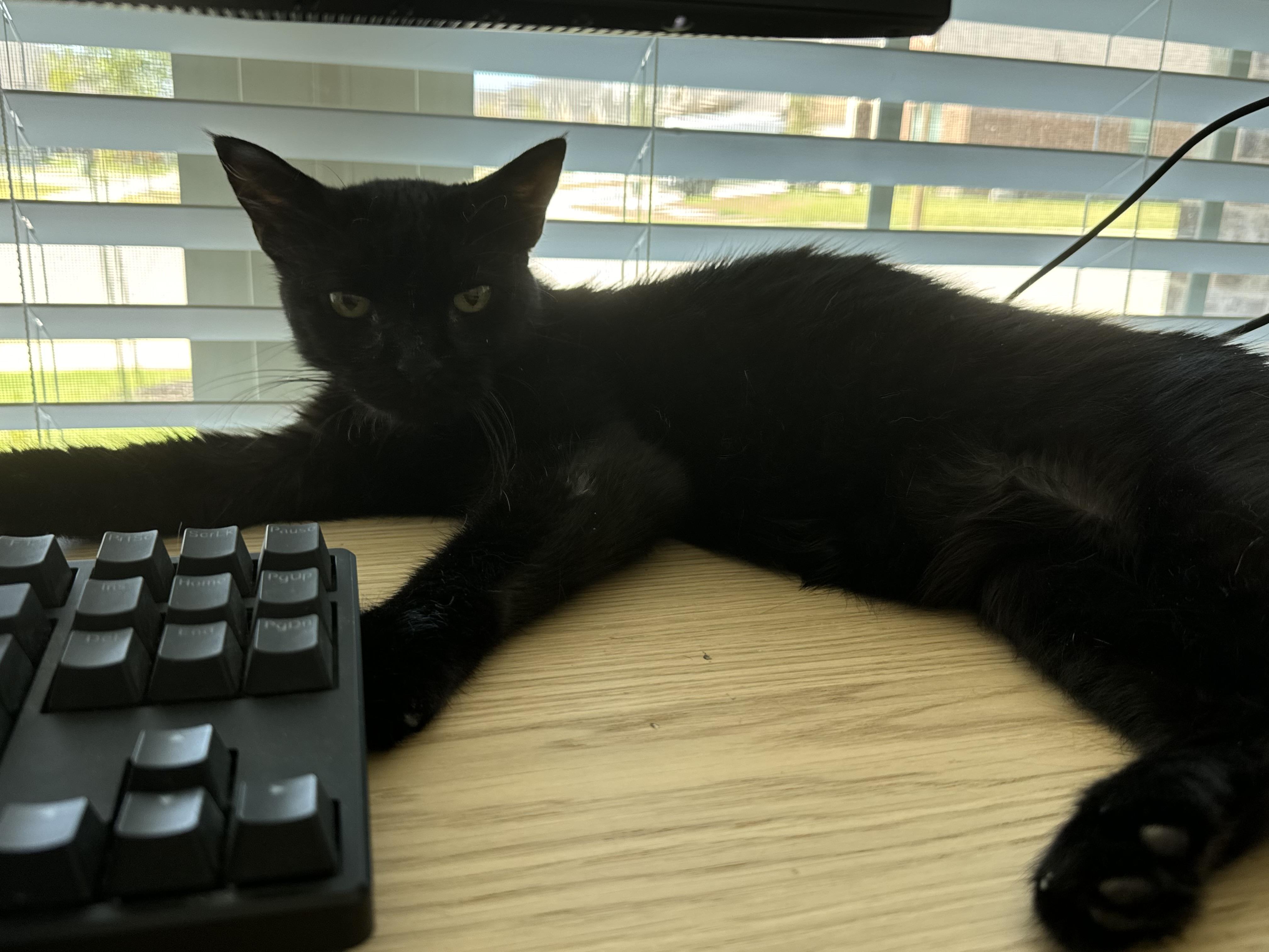 Tina