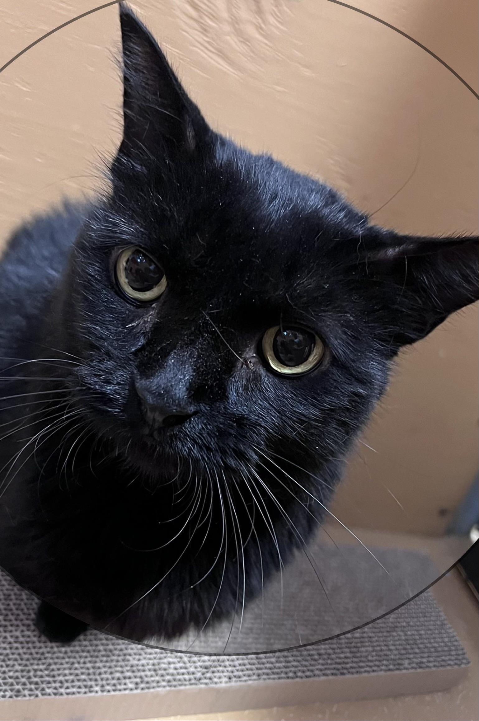Tina
