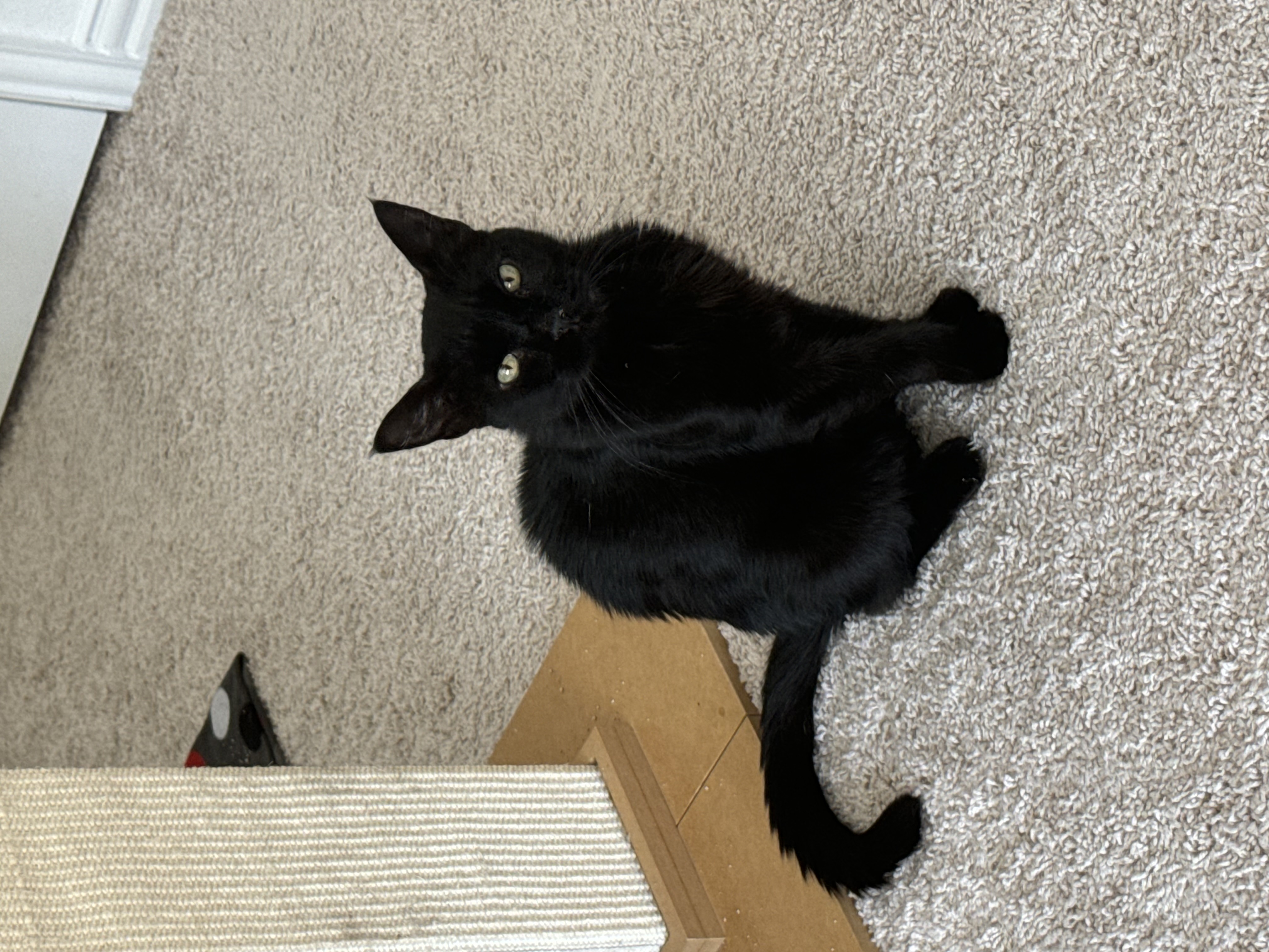 Tina