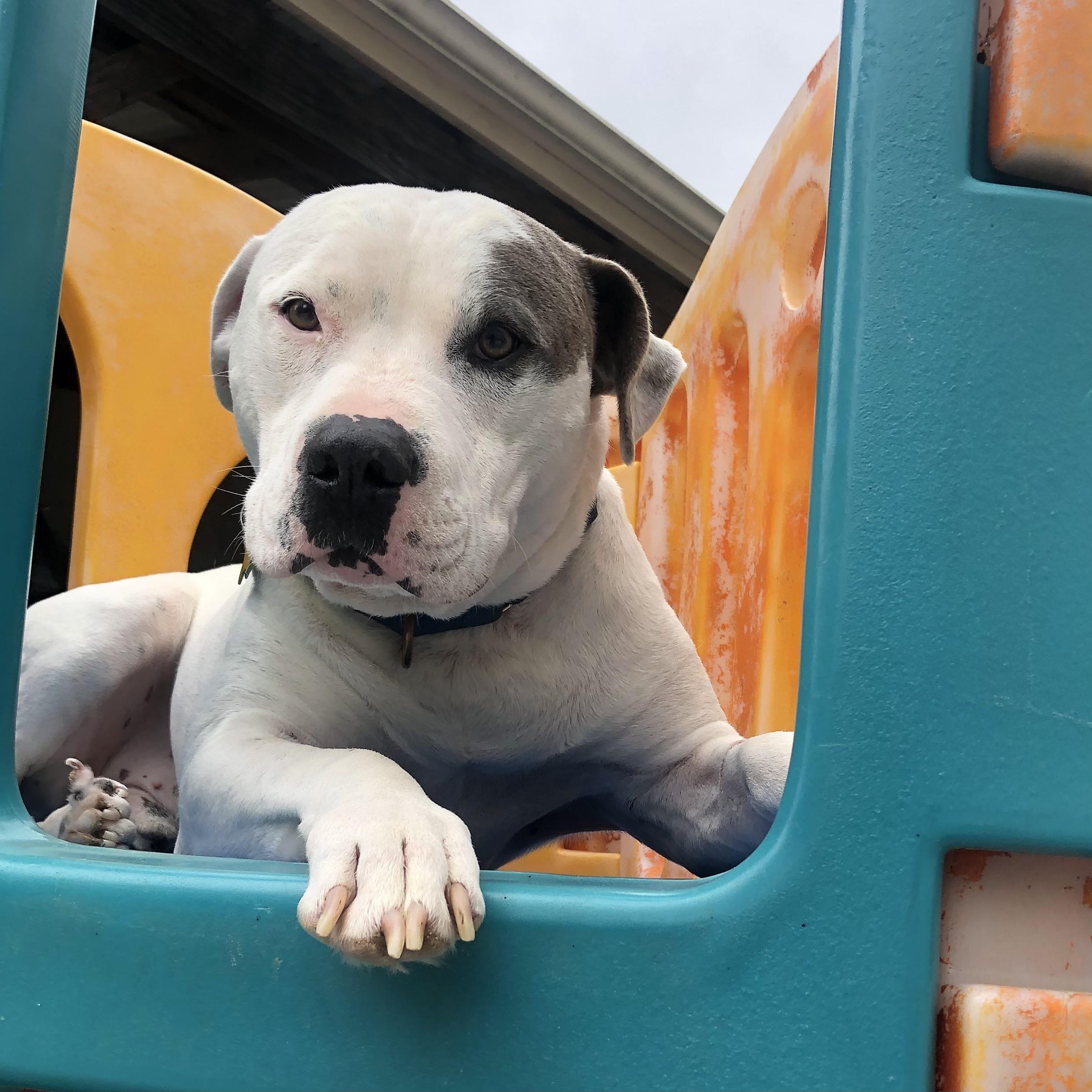 Zayden — thumbnail 5