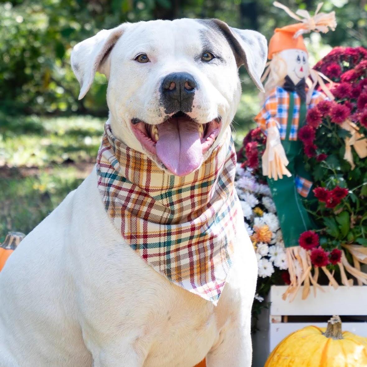 Zayden — thumbnail 6