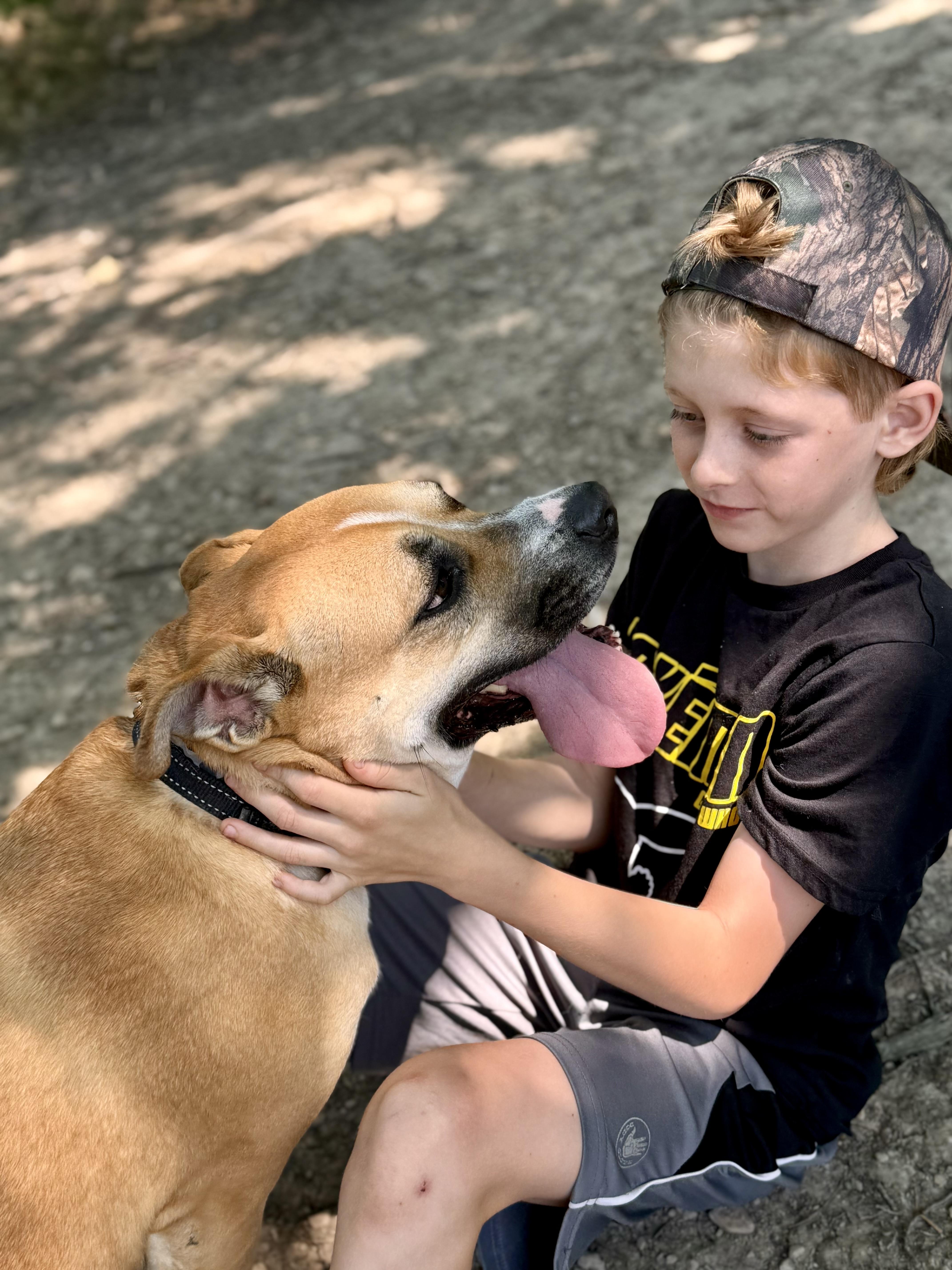 Enlarge Sadie, a Adoptable mixed breed in Ilderton, ON image 4/6