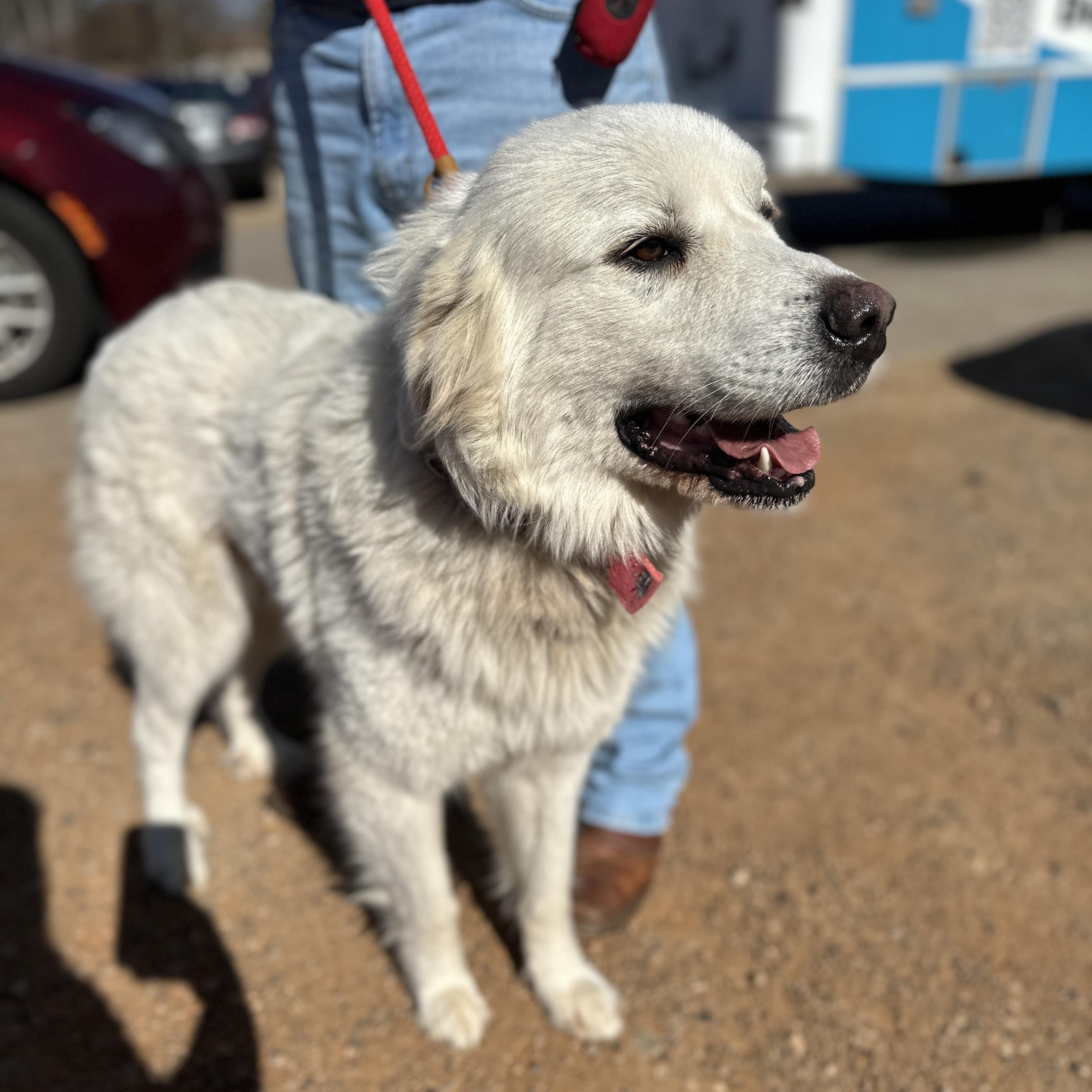 White Out — thumbnail 4