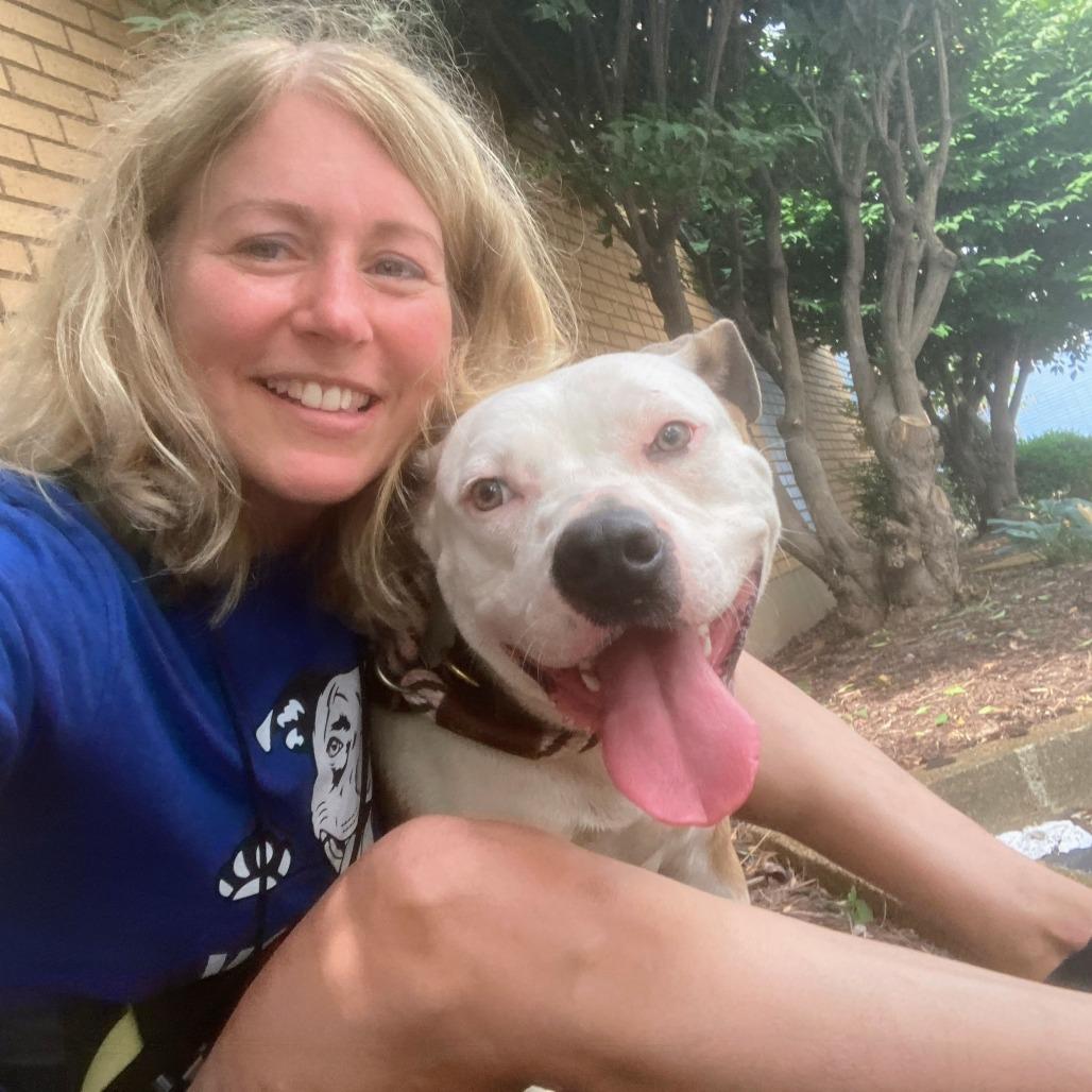 Shortbread Crumble, Adoptable, Adult Female Pit Bull Terrier & Mixed Breed.