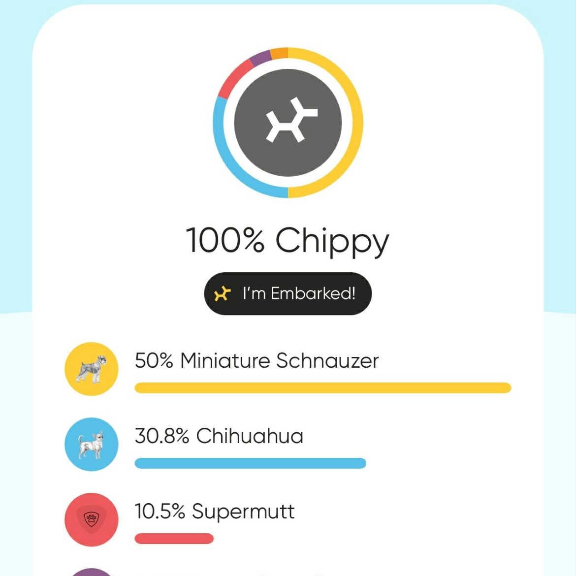 Chip  Fun Party thumbnail 5