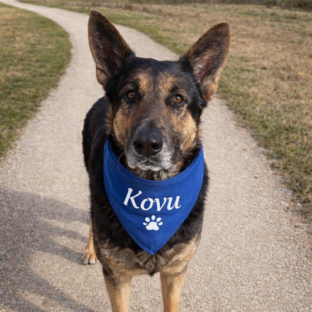 KOVU GS — thumbnail 3