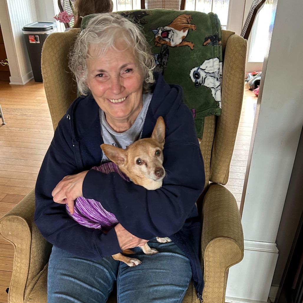 Enlarge TITO, a Adoptable mixed breed in Berlin, NJ image 1/6