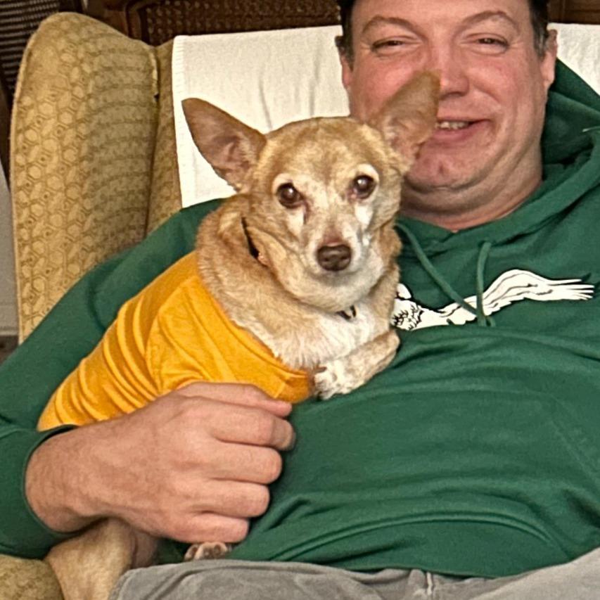 Enlarge TITO, a Adoptable mixed breed in Berlin, NJ image 3/6