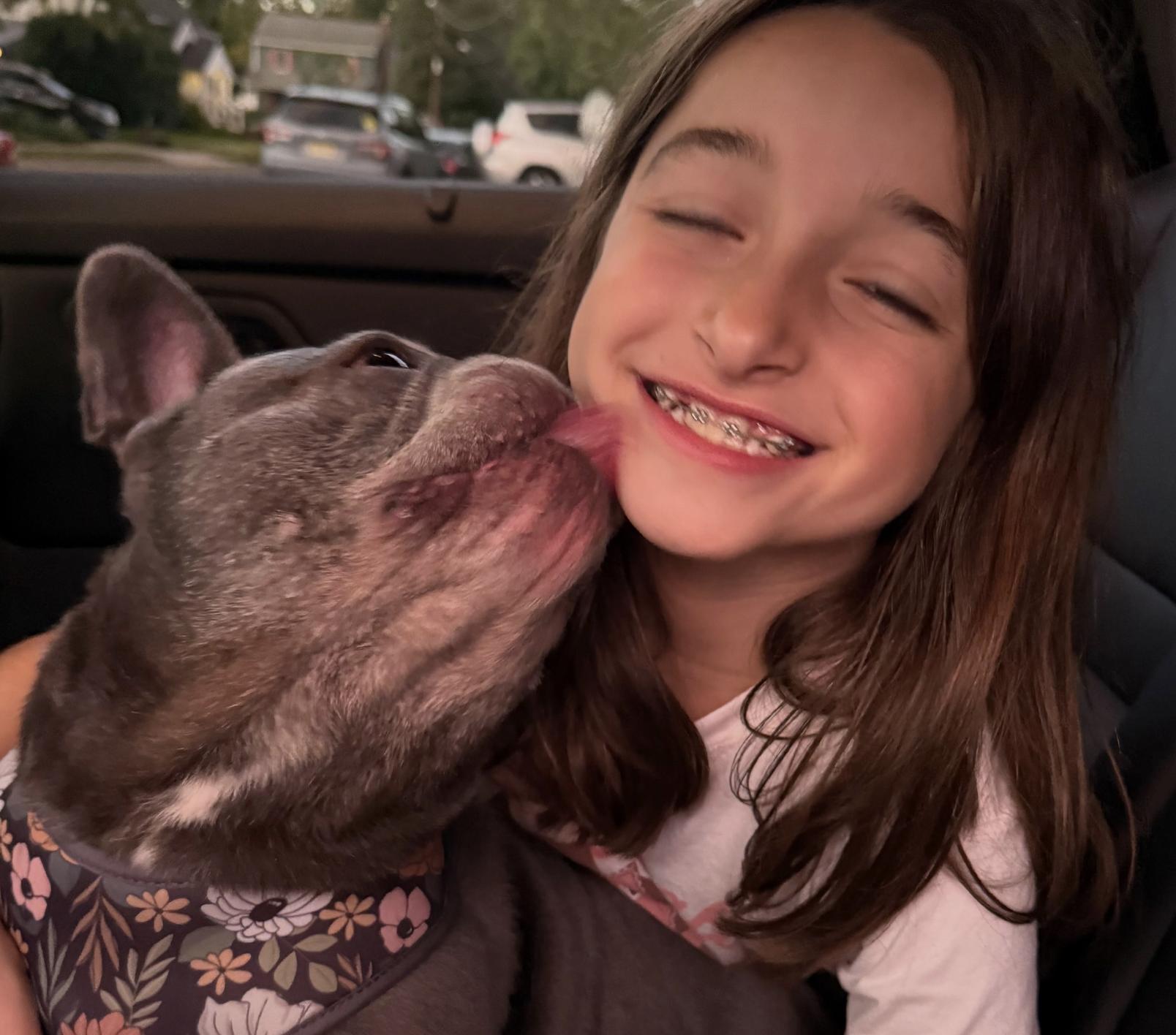 Enlarge Esther, a Adoptable French Bulldog in Tinton Falls, NJ image 3/3