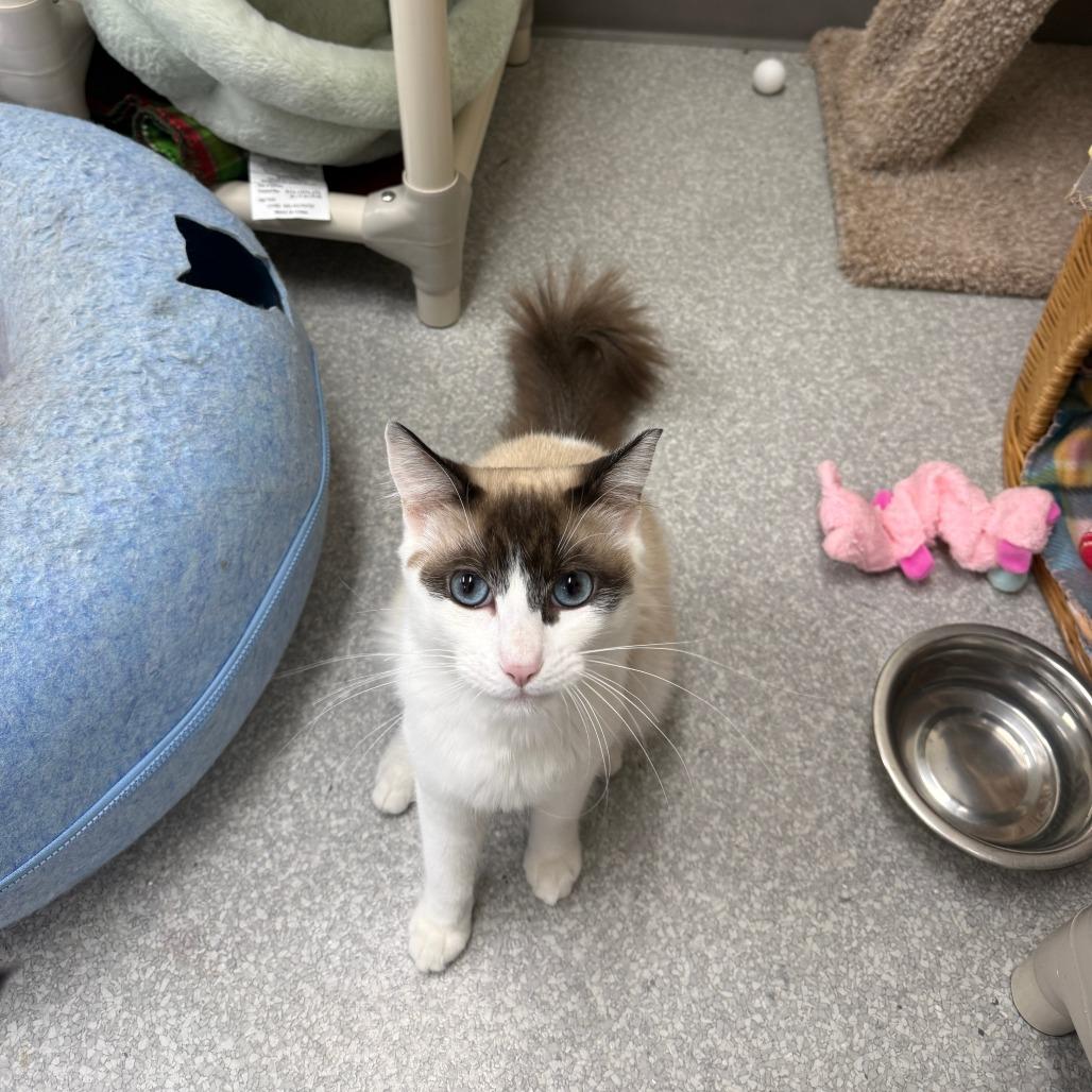 Channing thumbnail 2