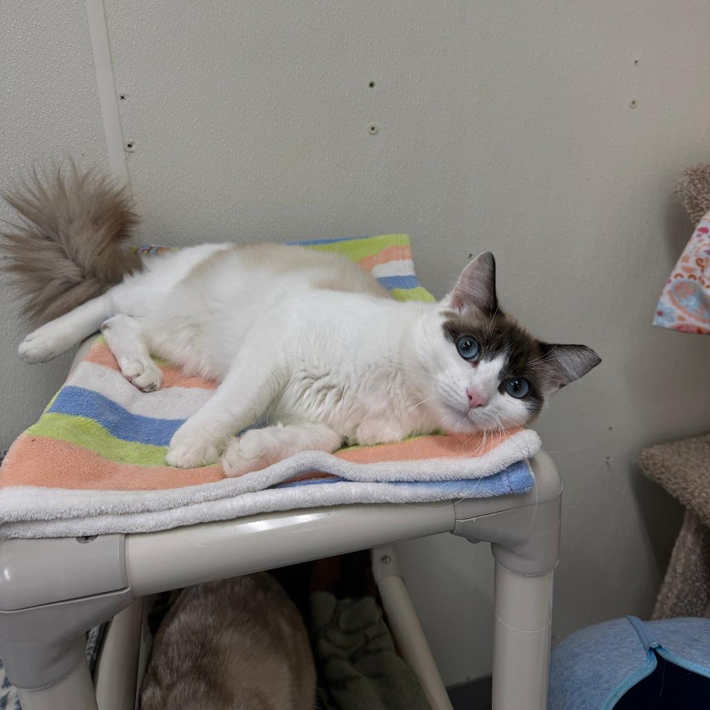 Channing thumbnail 4