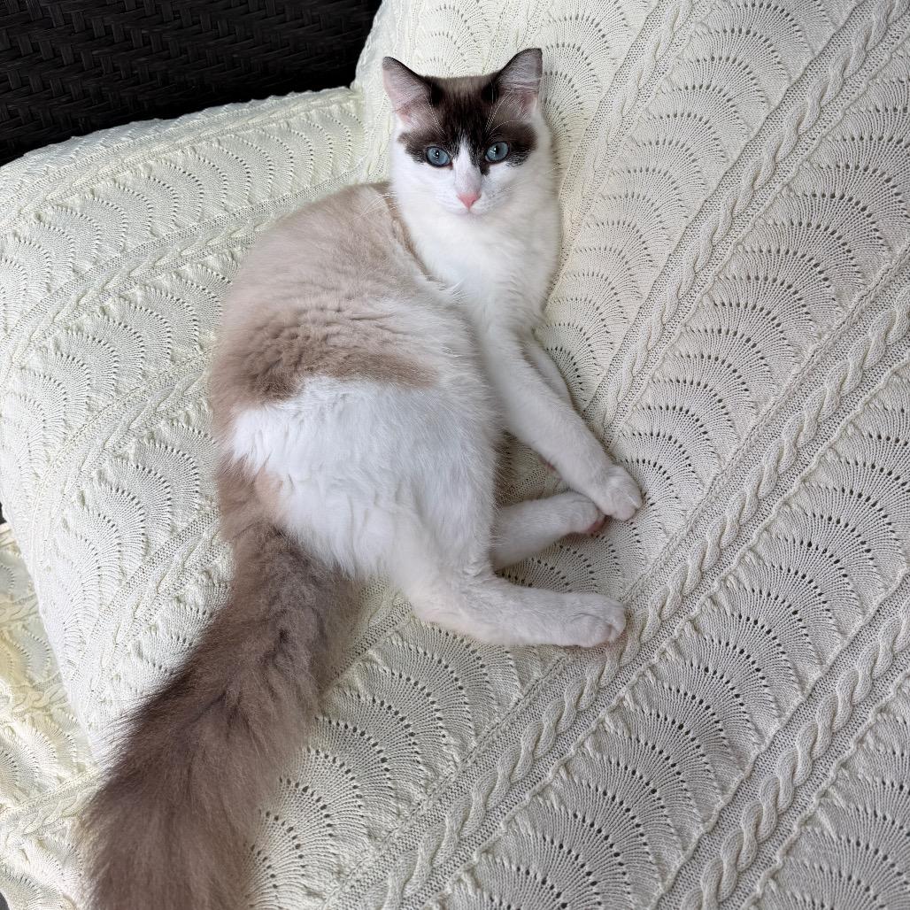 Channing — thumbnail 5