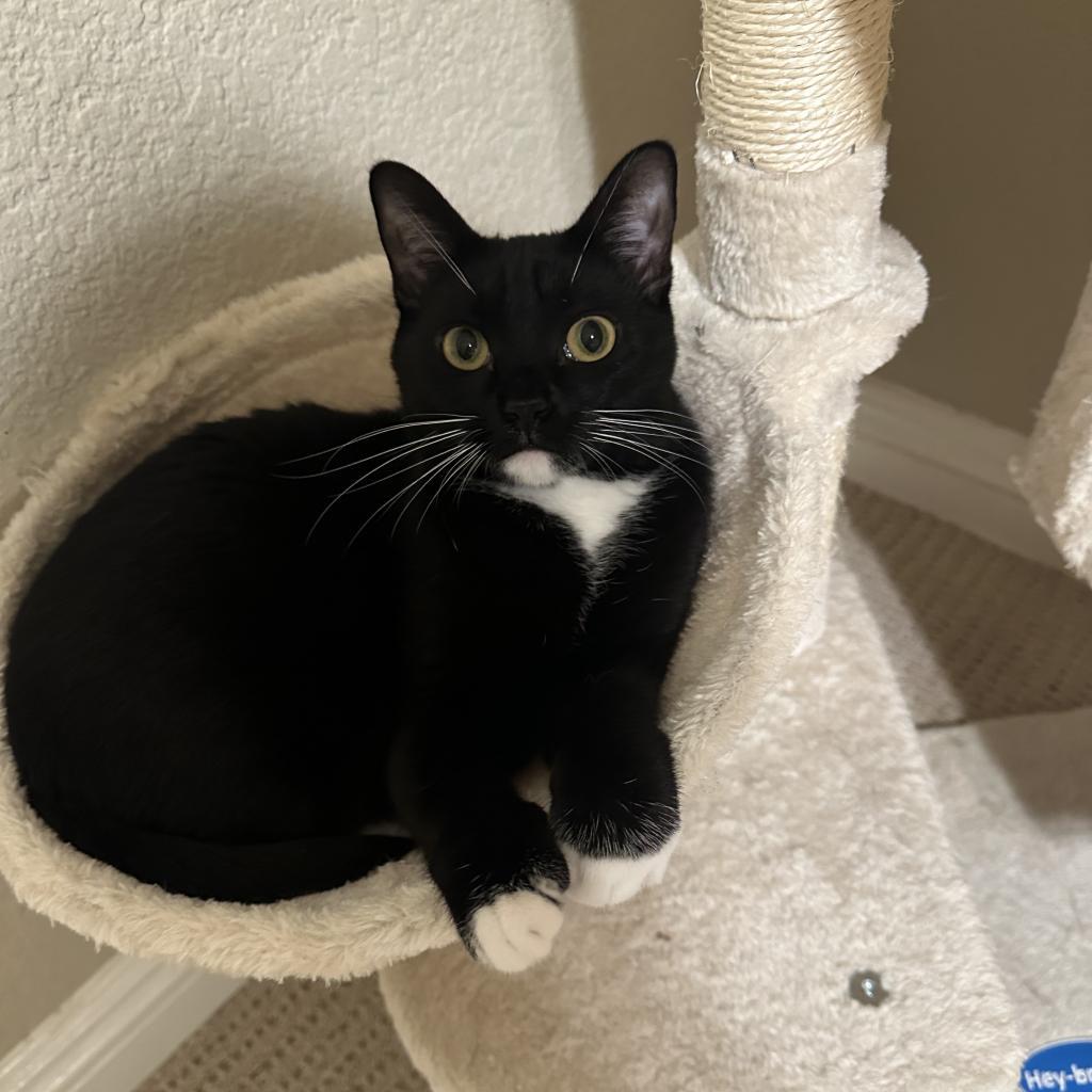 Madeline — thumbnail 2