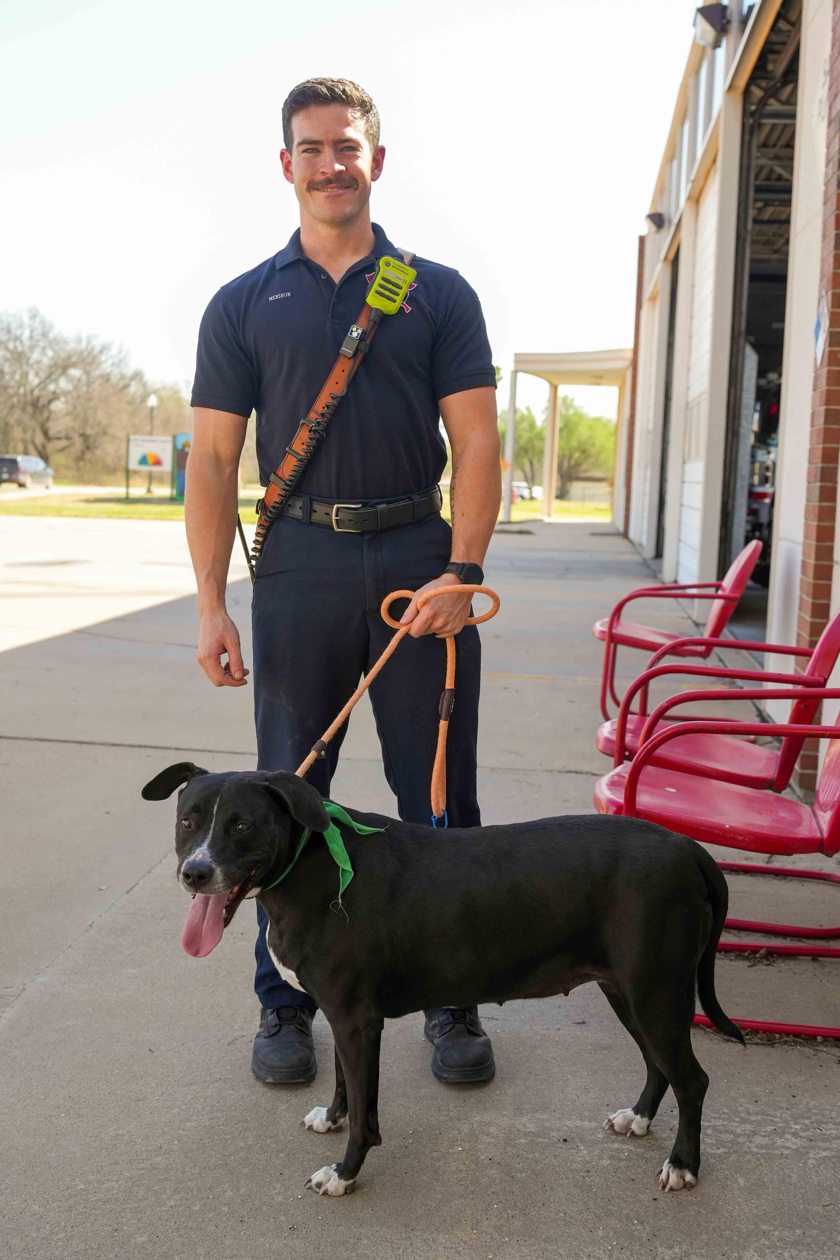 Enlarge Penny, a ADOPTABLE mixed breed in Stillwater, OK image 3/4