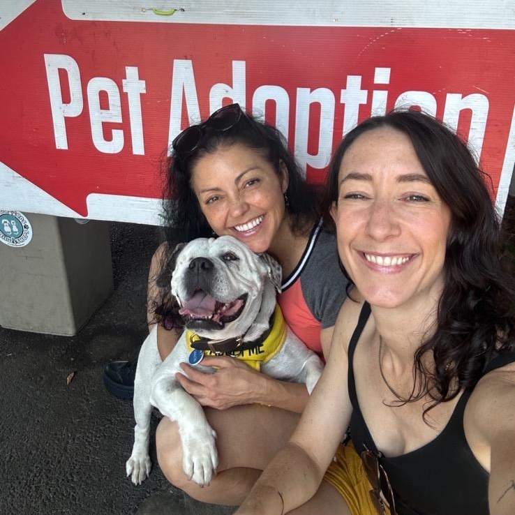 Lollipop, a Adoptable mixed breed in Chatsworth, CA image 2/5