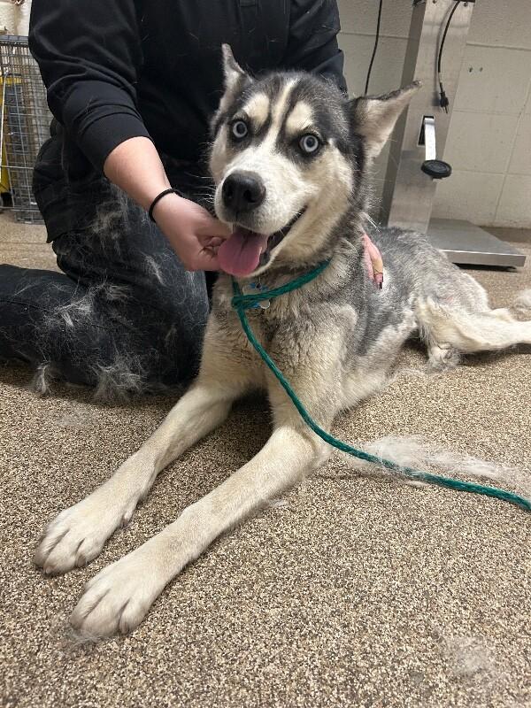 Athena — thumbnail 5