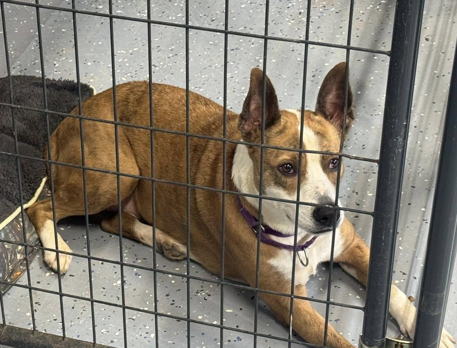 Melinda — thumbnail 4