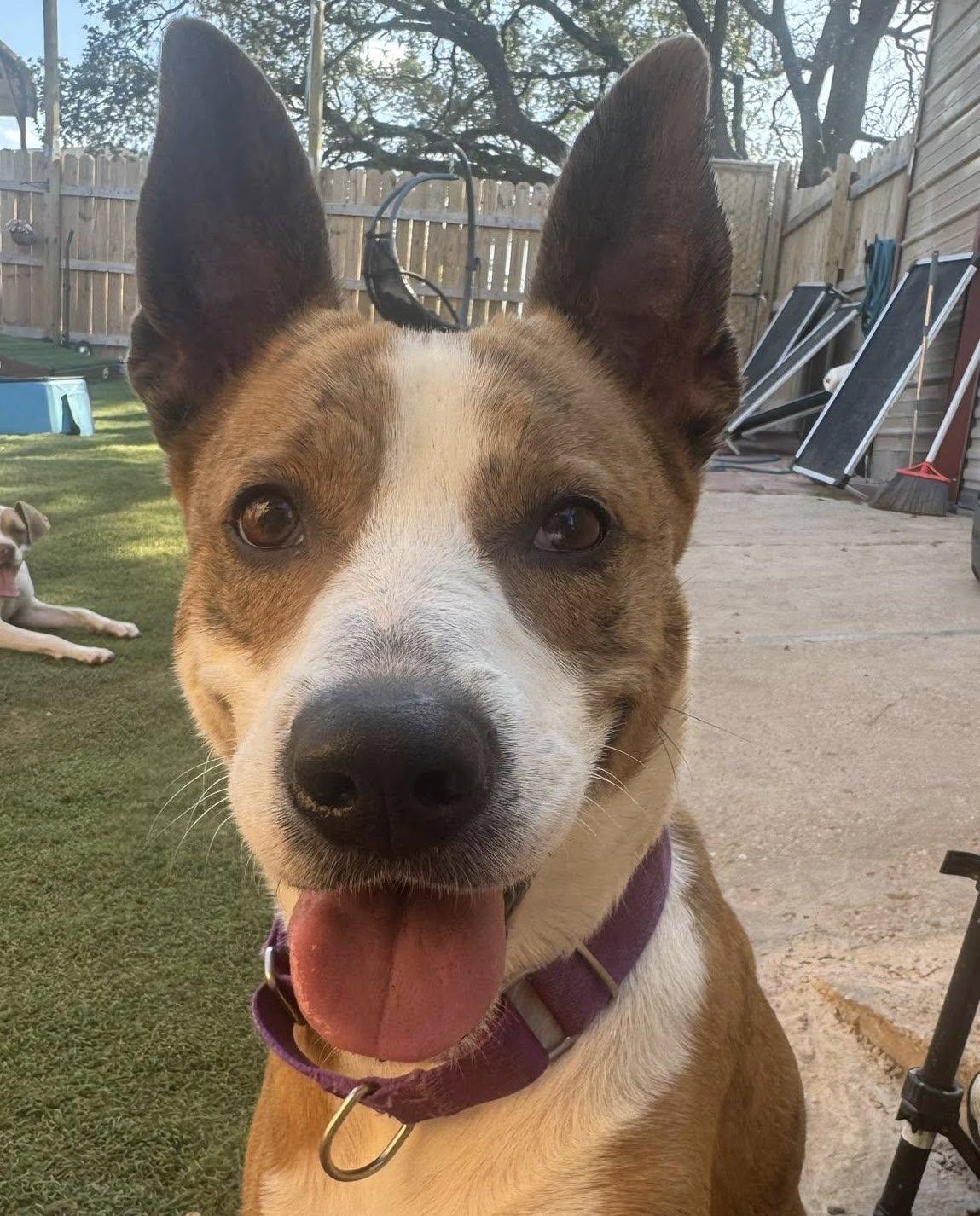 Melinda — thumbnail 5