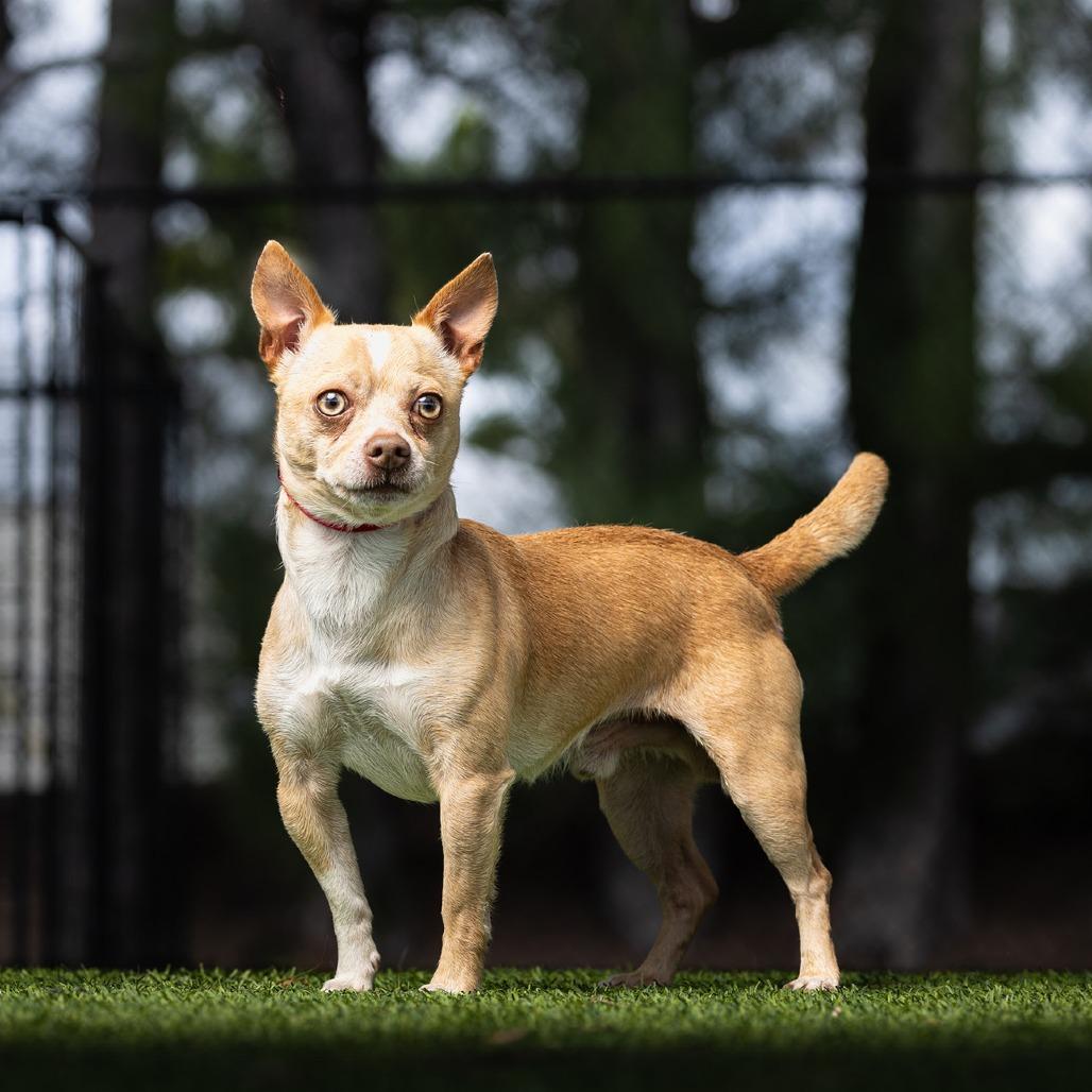 Butter — thumbnail 2