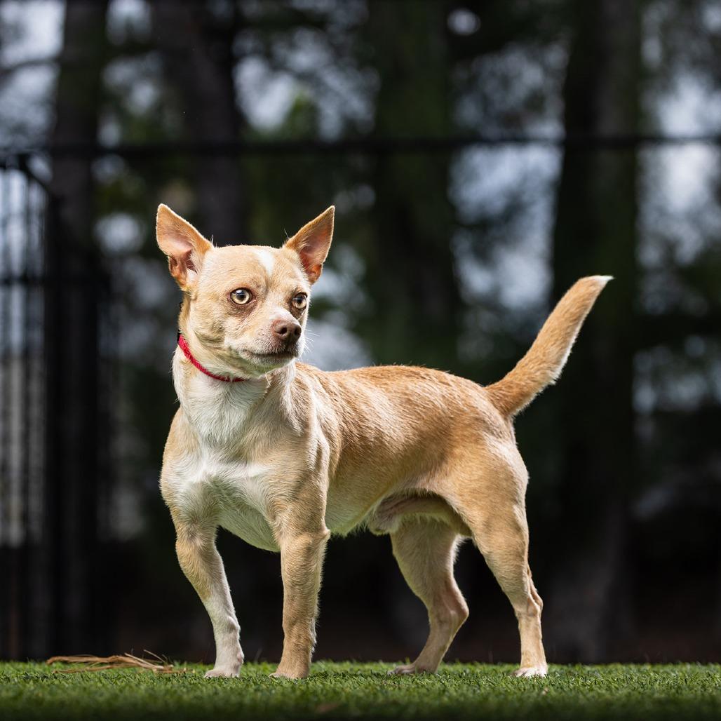 Butter — thumbnail 3