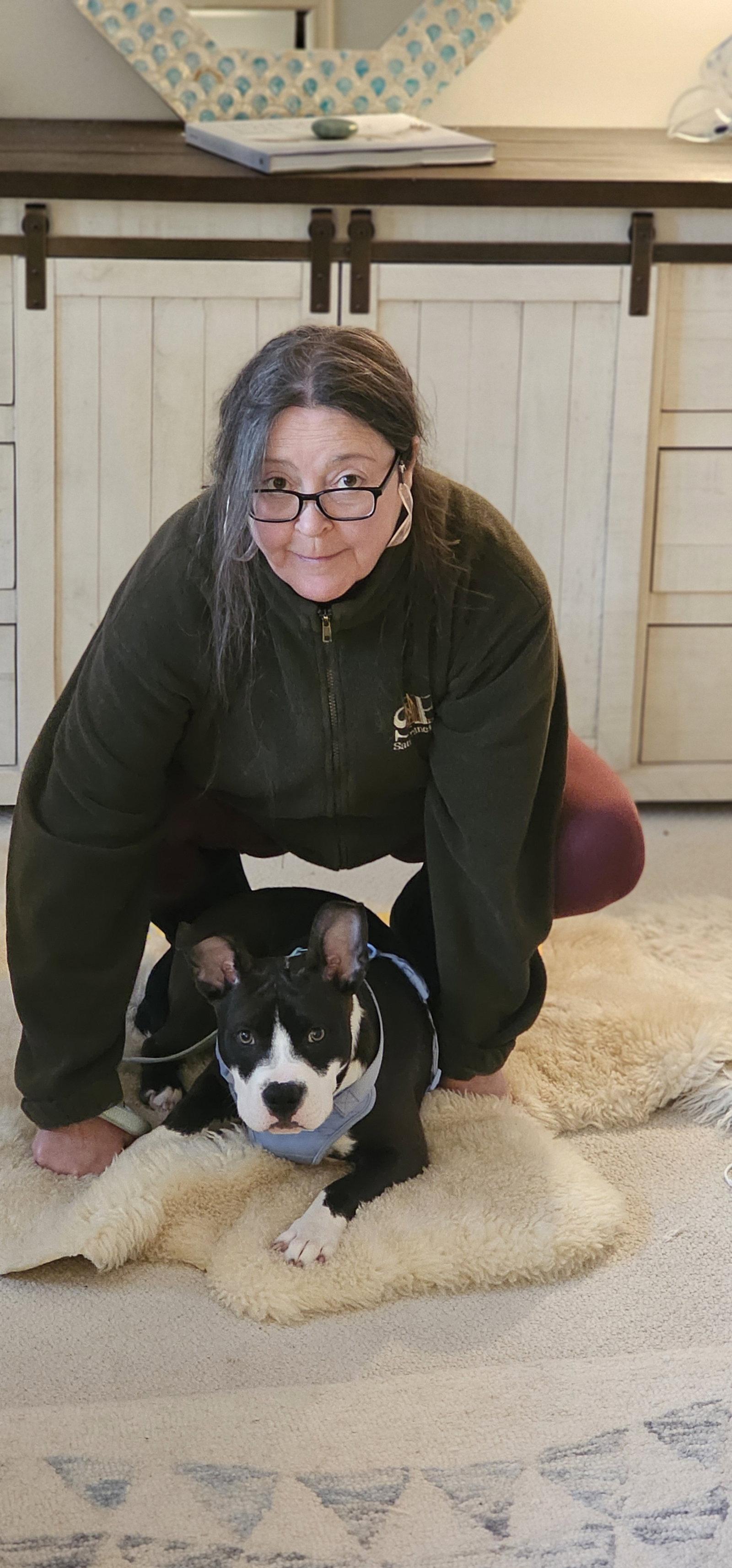 Enlarge Sprout, a Adopted Pit Bull Terrier in Framingham, MA image 1/3