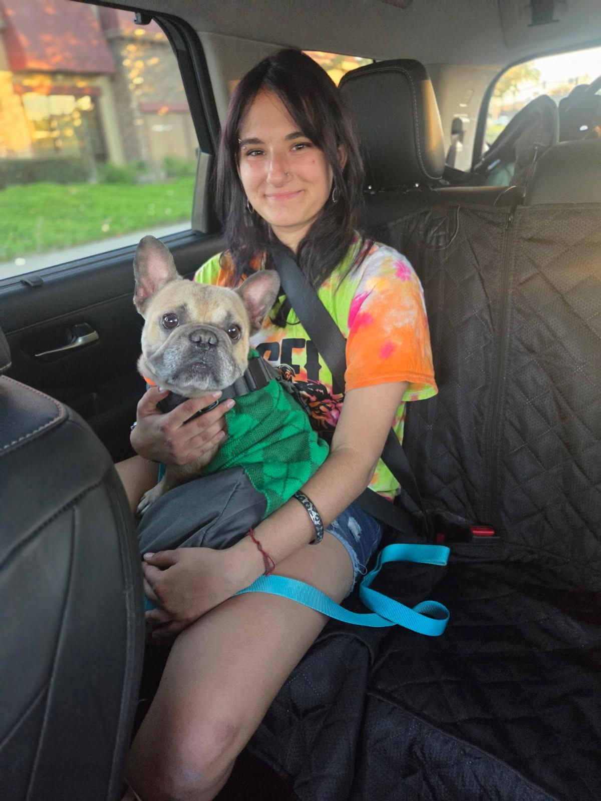 Enlarge Scoots Von Kissyface, a ADOPTABLE mixed breed in Murrieta, CA image 4/5