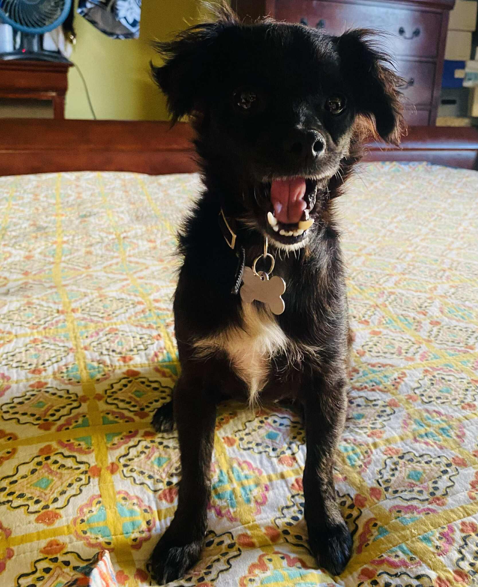 Roxy