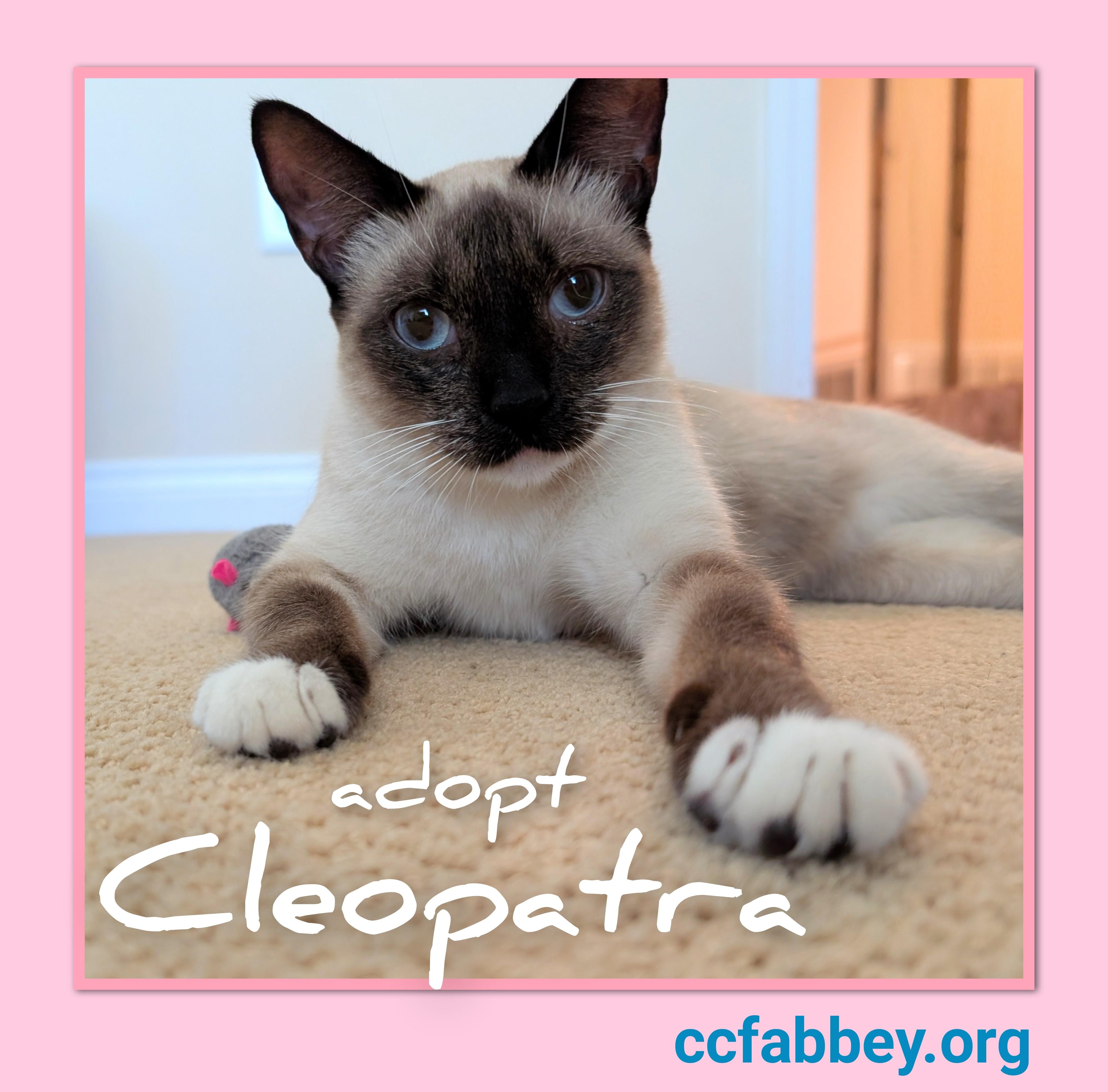 Cleopatra