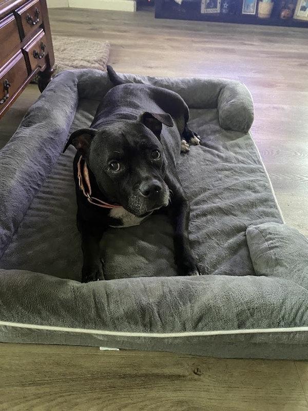 Daisy — thumbnail 3