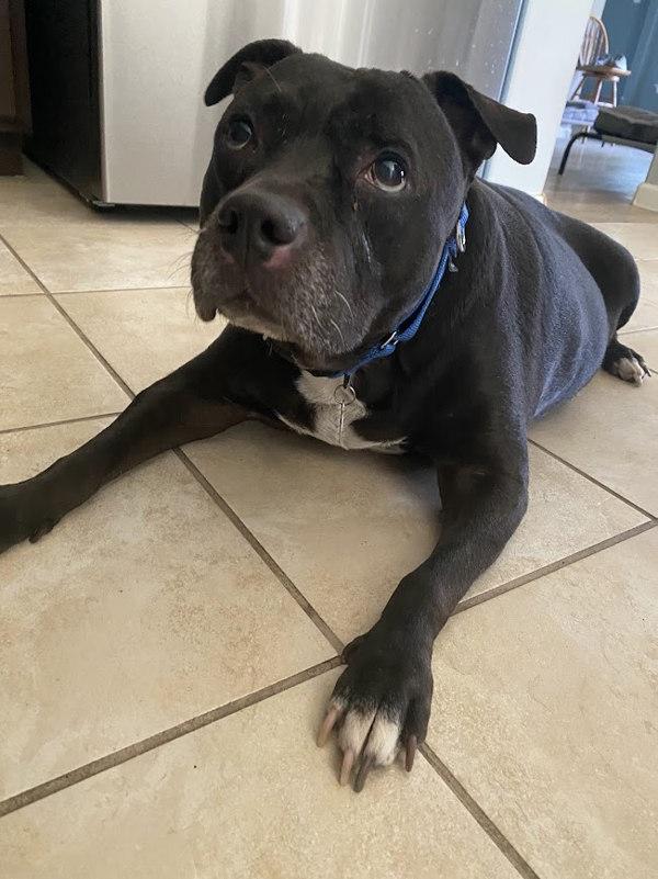 Daisy — thumbnail 4