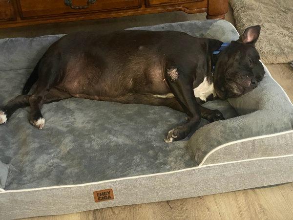 Daisy — thumbnail 5