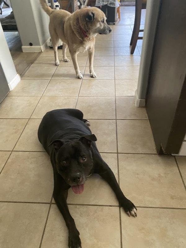 Daisy — thumbnail 6