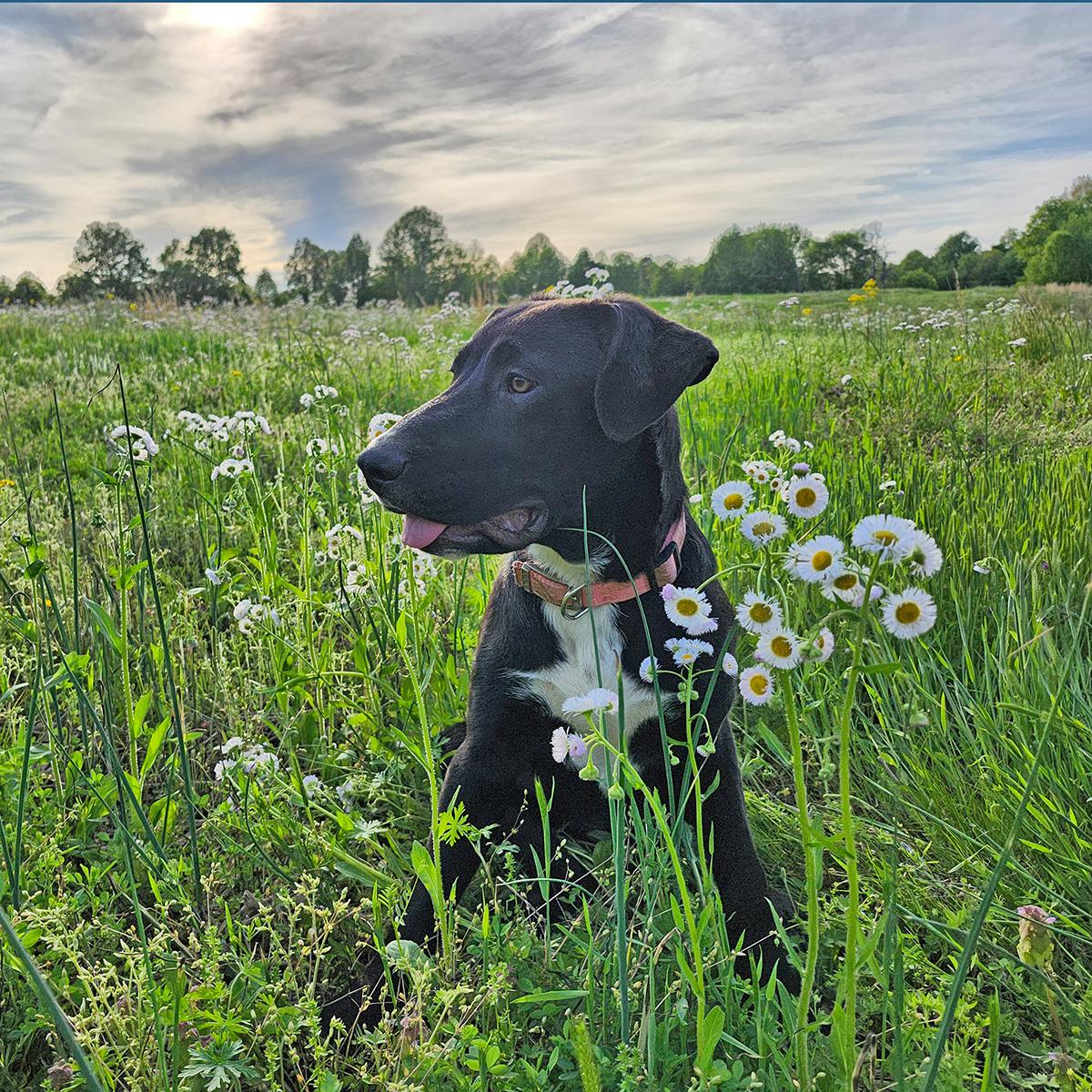 Carrie Underwood thumbnail 2