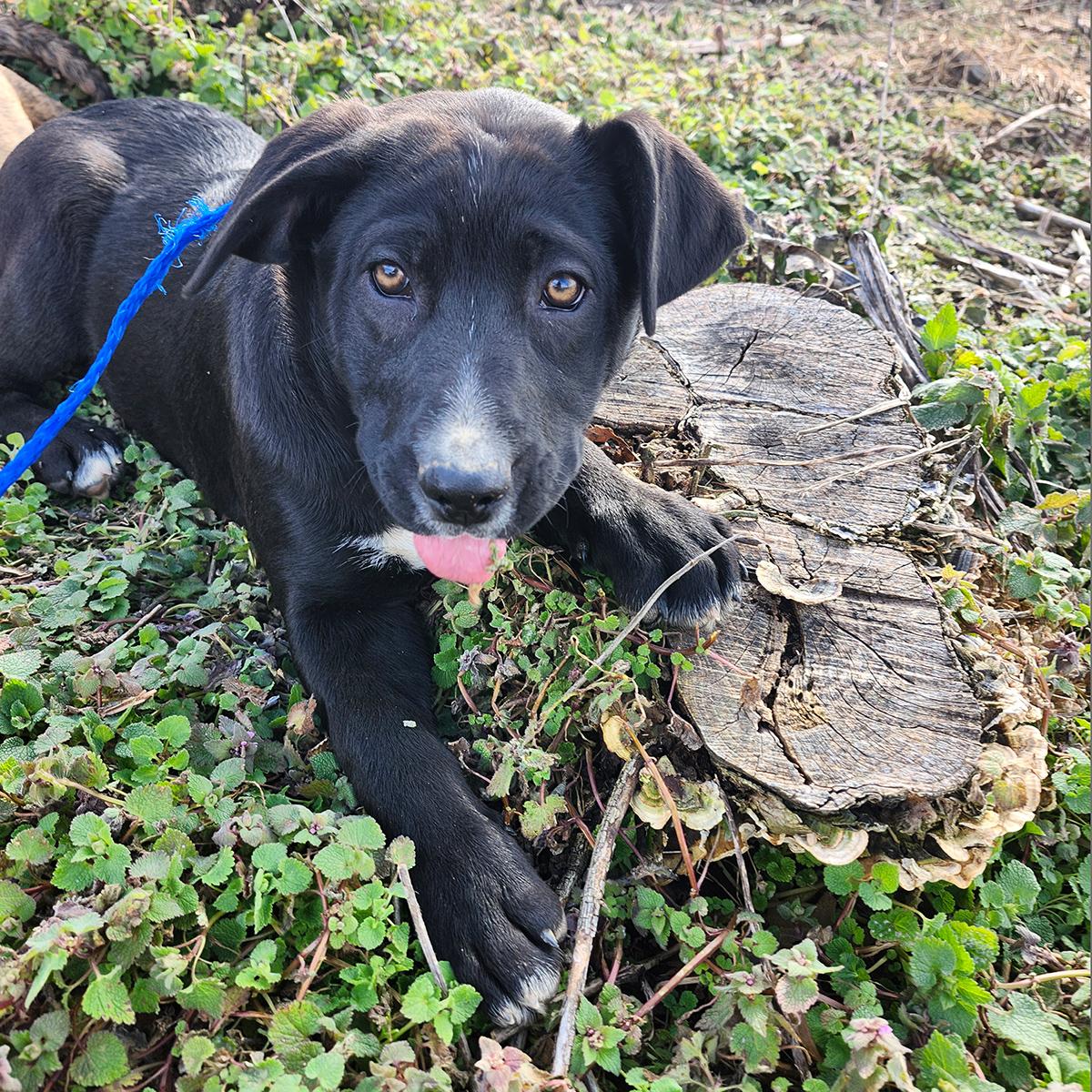 Carrie Underwood thumbnail 5